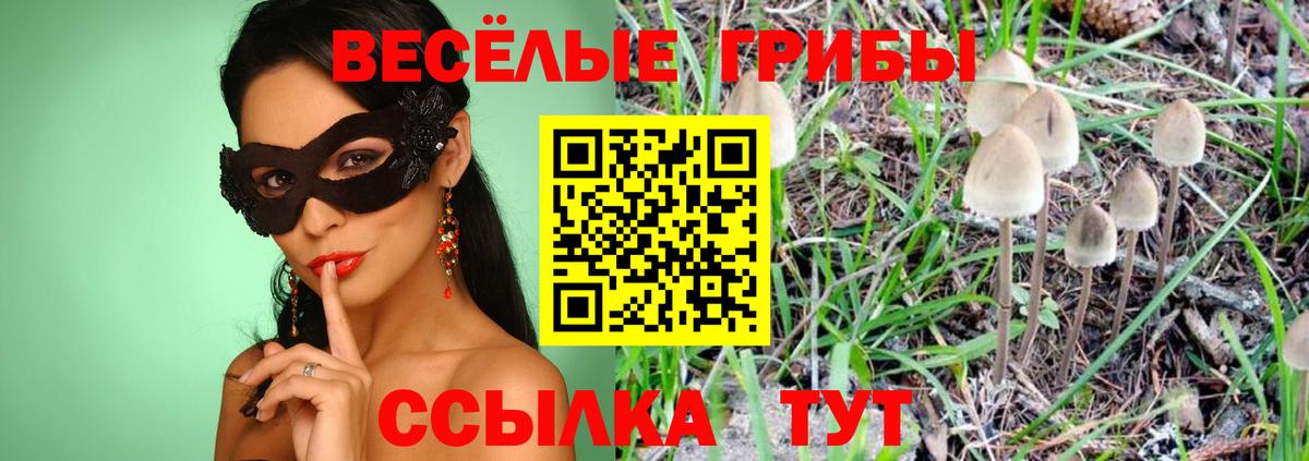 Кисловодск  Псилоцибиновые грибы мицелий  Вход с VPN 