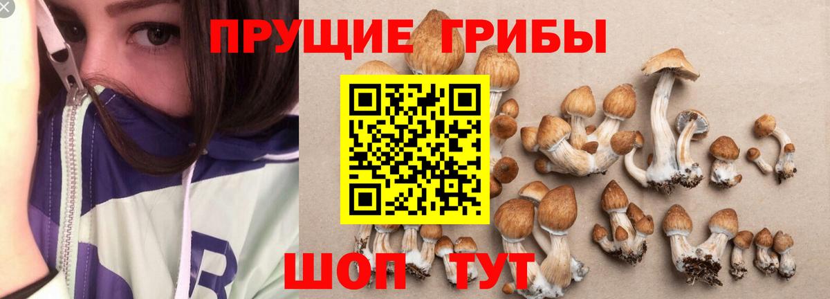 Галлюциногенные грибы мицелий Кисловодск